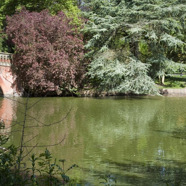 Summer fun day in Cannon Hill Park