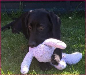 Mavis cuddling a soft toy