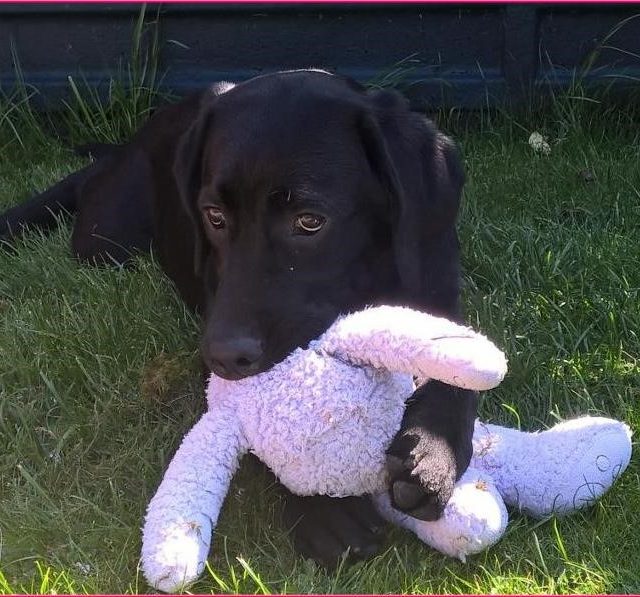 Mavis cuddling a soft toy